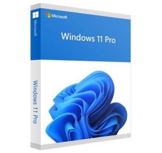 Win 11 Pro licencia de segundo uso Legal Refurbish