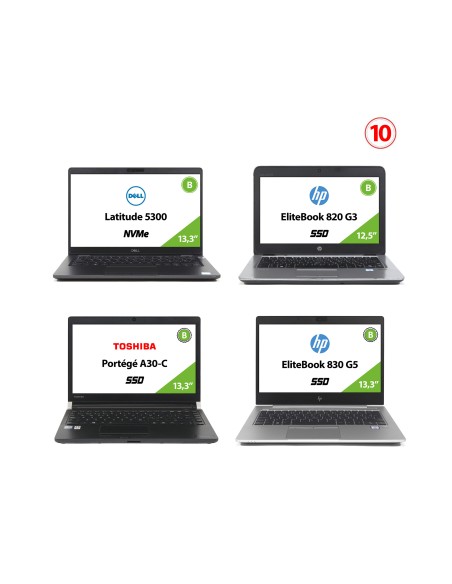 Lote 10 portátiles según excel